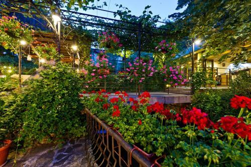 Hotel Edia