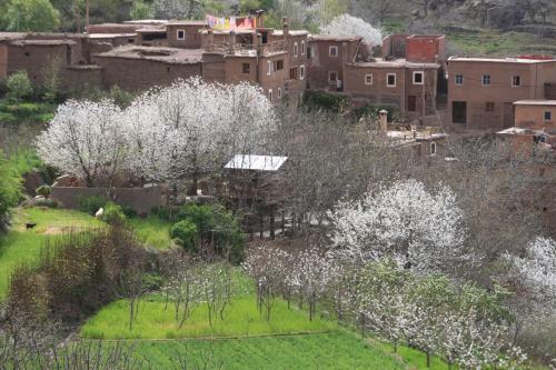 Hostal Douar Samra