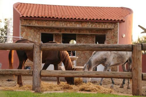 Hostal Dar Lyazid