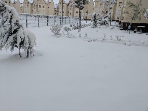 Les Jardins D Ifrane