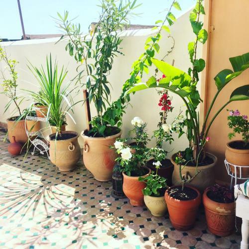 Bed & Breakfast Dar Saray