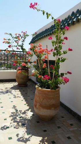 Riad Batchisarai