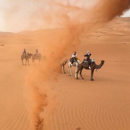 Berber & Camel Trek