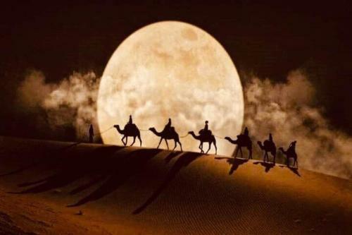Berber & Camel Trek