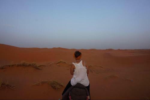 Berber & Camel Trek