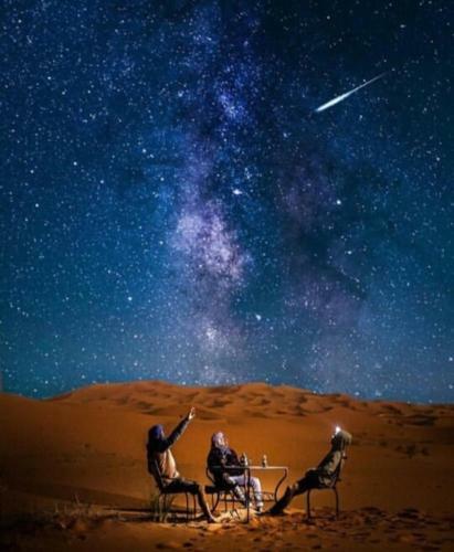 Berber & Camel Trek