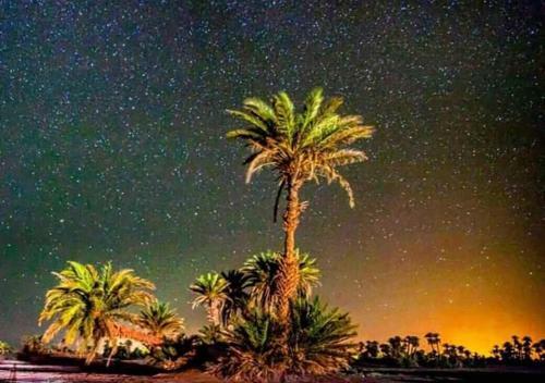 Hotel Mhamid Camp Excursions