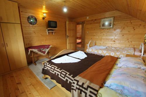 Lodge Mountain Family House Zara