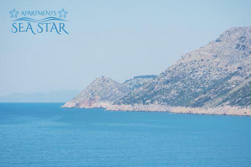Sea Star Apartment
