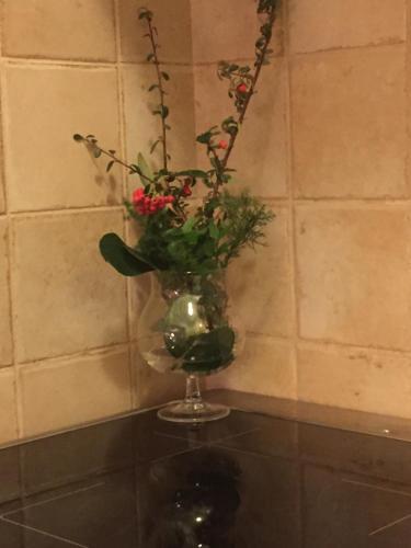 Vila Tatiana Delux Apartman 3