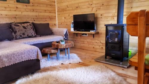 Lodge Brvnara Borovik
