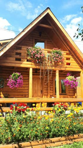 Lodge Brvnara Borovik