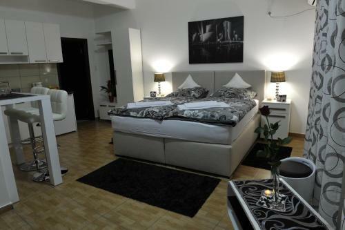 Apartment Jovana Nik?i?
