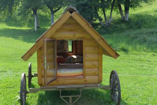 Camp Rabrenovi?