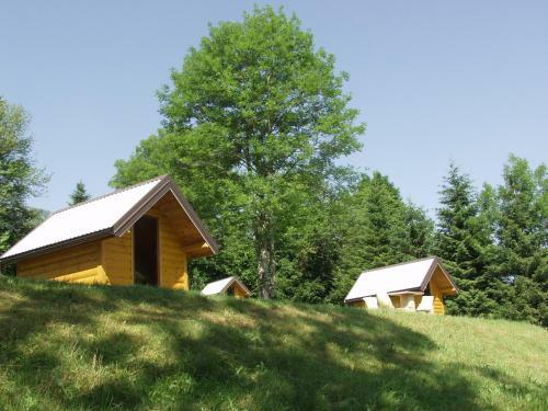 Camp Rabrenovi?