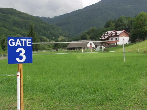 Camp Rabrenovi?