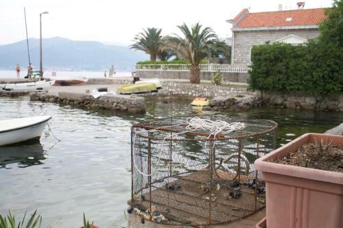 Apartments Leut1