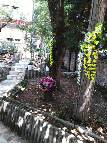 Hostal Guest House Lav