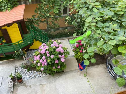 Apartments Pericic
