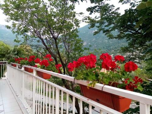 Hostal Apartman Vesna