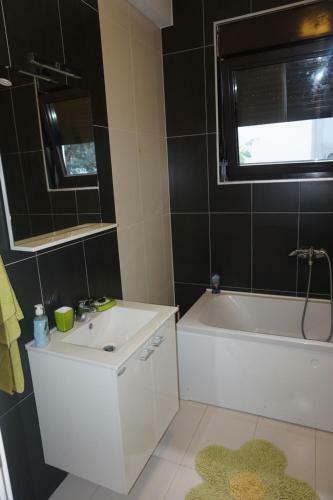 Apartments Minja Nerin