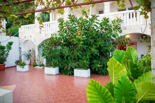 Villa Vila Vukoti?