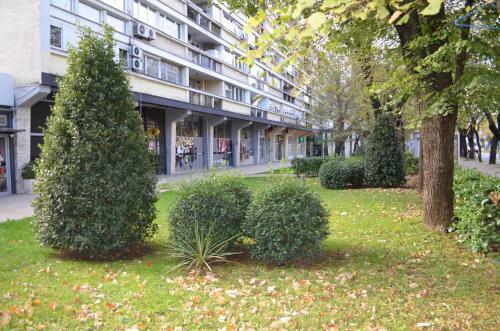 Nice Place - Newtown Apartment