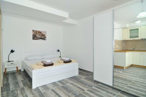 Apartments Edera