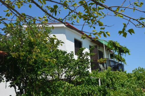 Apartment Djakonovic Mladen