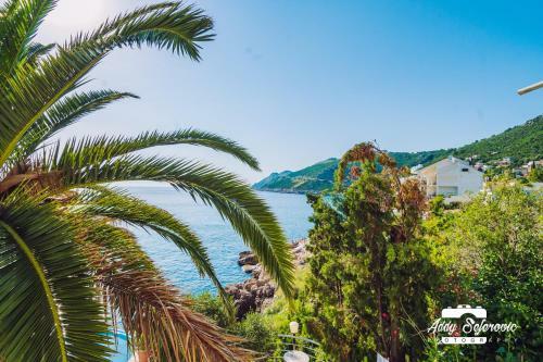 Apartmani Stikovic