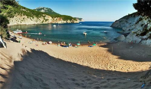 Apartmani Stanisic