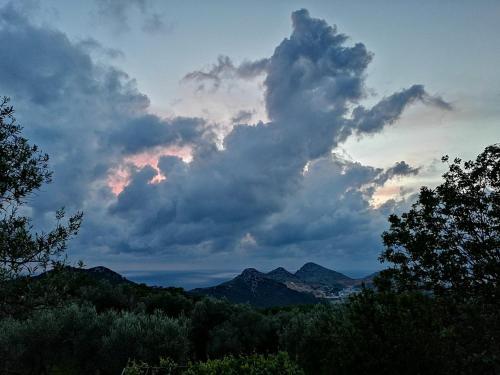 Apartman Nikocevic