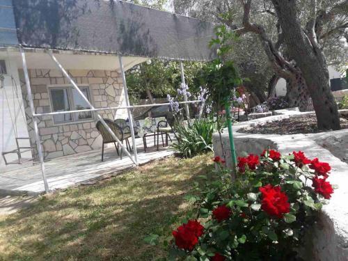Apartman Nikocevic