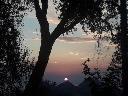 Apartman Nikocevic