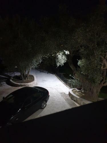 Apartman Nikocevic