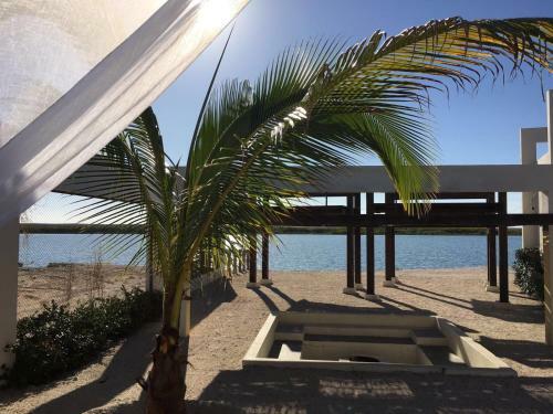 Hotel Mangrove Inn