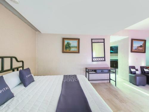 Hotel Iq