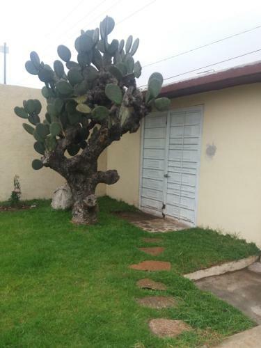 Hostal Suites Pozos M�gico