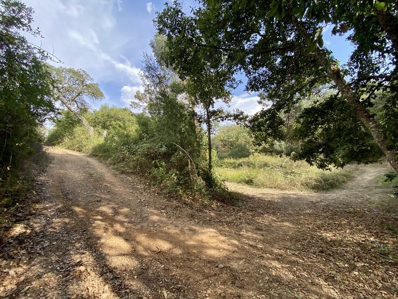 Monte Do Zambujeiro