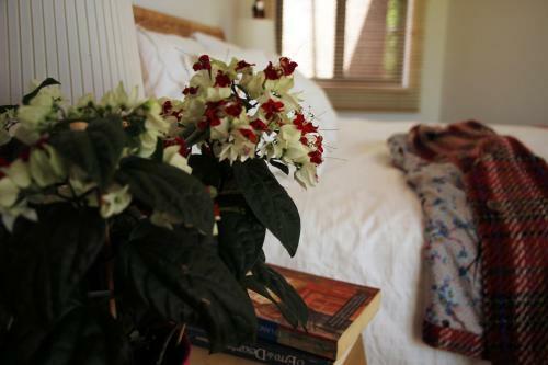 Bed & Breakfast A Casa Da �rvore