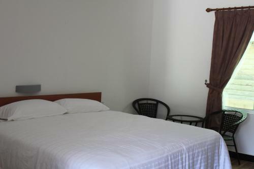 Hostal Emma Guesthouse