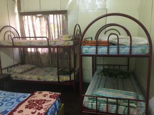 David Bed & Breakfast