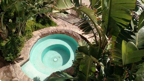 Hotel Las Olas Resort & Spa