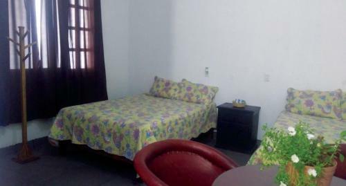 Hostal Hotel Falcon
