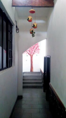 Hostal Hotel Falcon