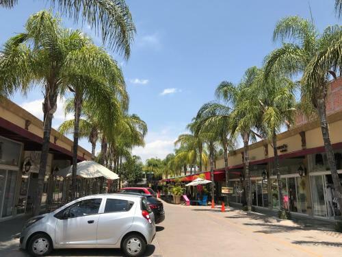 Hotel Paseo Palmas