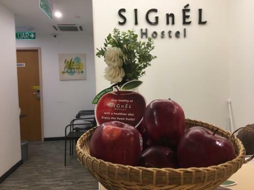 Signel Hostel