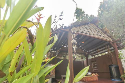 Hostal Desatebrau-newstar-wedding Bridal House