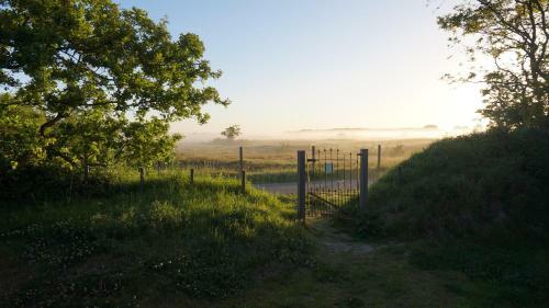 Bungalow Jonkerstee 34 - Ouddorp Near Nature And Beach