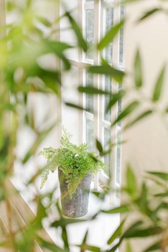 Canal Garden Apartments II By Vgw